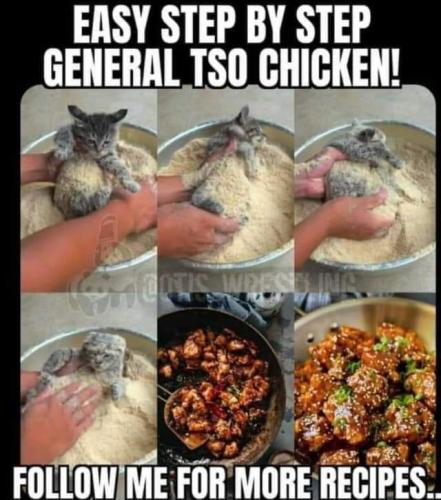 FB_IMG_1697267585858