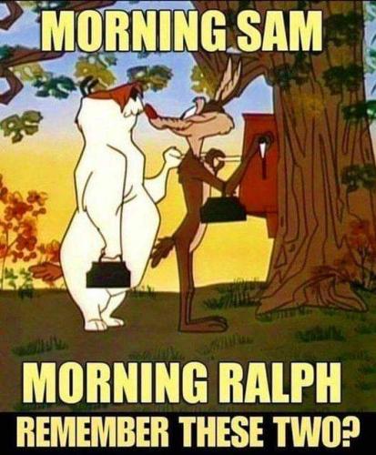FB_IMG_1696197009029