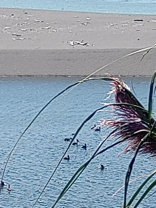 IMG_20230825_140958694