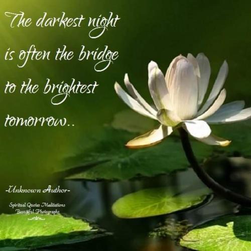 FB_IMG_1697636984331