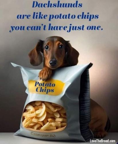 FB_IMG_1698706821888