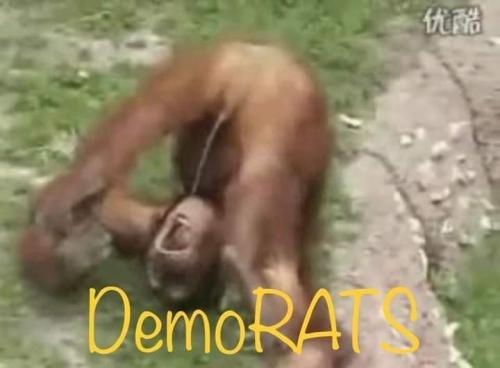 FB_IMG_1696424438575