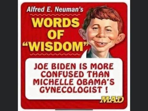 121532382_4068302303186258_4907689011157343876_n