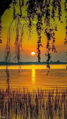 FB_IMG_1696320405554
