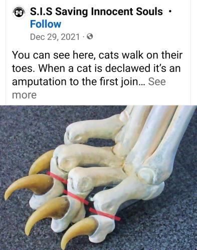 12:28:10 GMT-0400 (EDT)