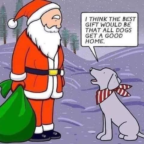 FB_IMG_1697730580251