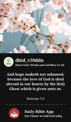 2023-10-281698528206802