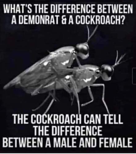 FB_IMG_1696431651927