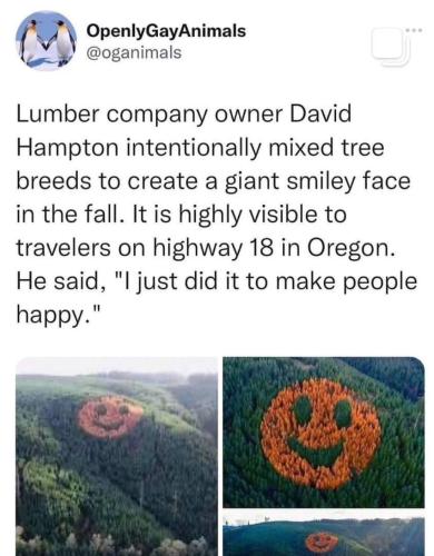 photo_2023-10-10_21-46-27 (2)