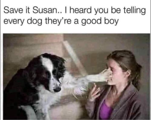 FB_IMG_1696283023194