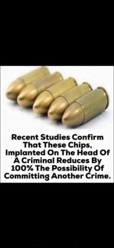 FB_IMG_1696089752592