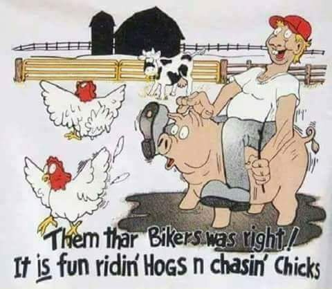 FB_IMG_1698396606732
