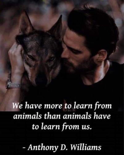 FB_IMG_1697145203092