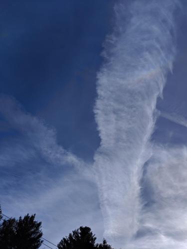 2eff95b1-a95b-4c89-b66e-bb335dd94c61