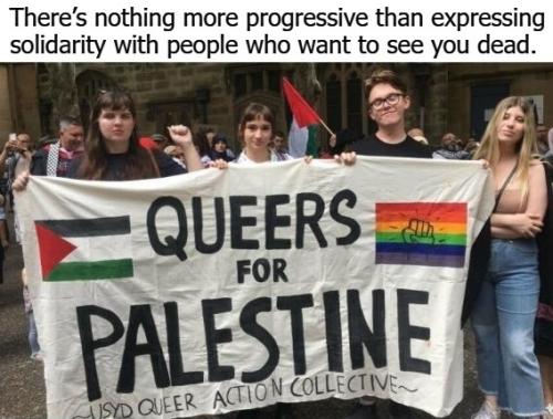 About that Progressive Mindset queers for palestine