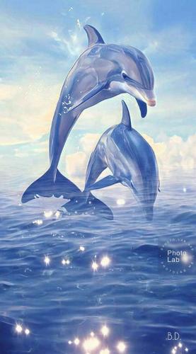 FB_IMG_1697410647277