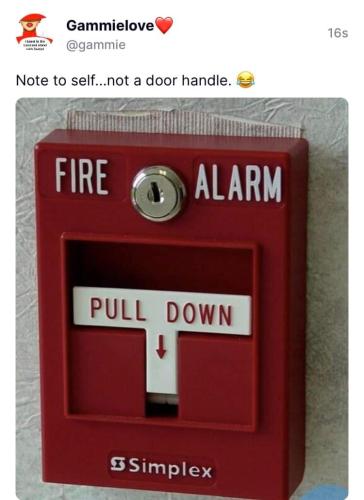 FB_IMG_1696719761964