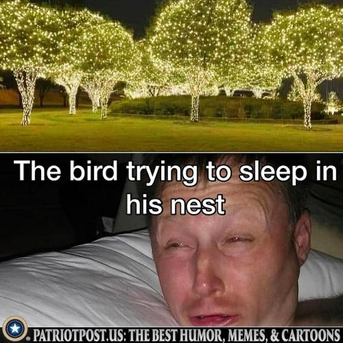 00000000000000000000000000000000000000000000000000000000000000000000000000000000000000000000000000000000000000000000000000000000000000000000000000000000000000000000000000000000000000000000000000000000000000000bvcpl