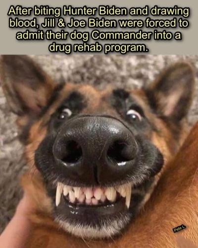 FB_IMG_1696609714409