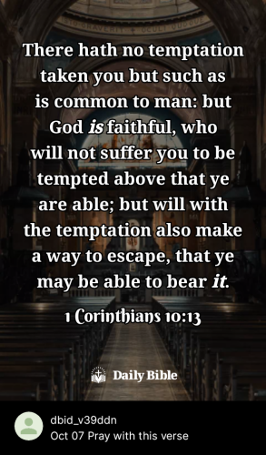 2023-10-071696703775194