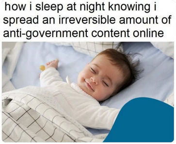how i sleep at night knowing i spread irreversible amount of anti-government content