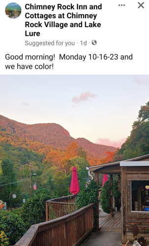 Screenshot_20231017-105607~2