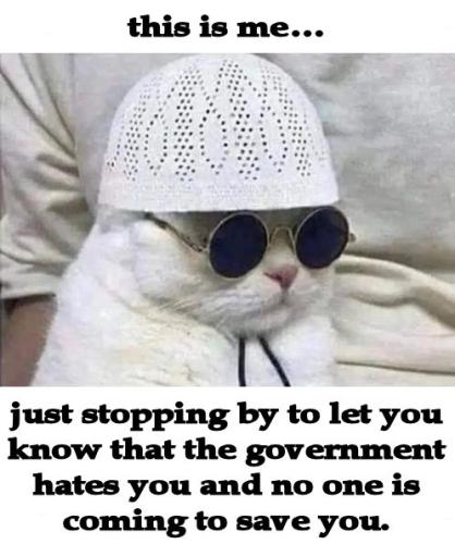 government hates you