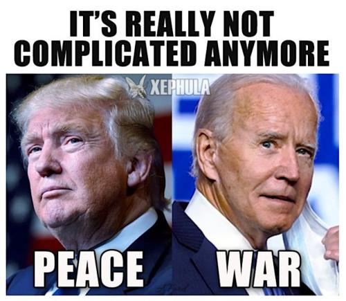 xephula_c49e9614beb9e342f9949eb32a54bed6