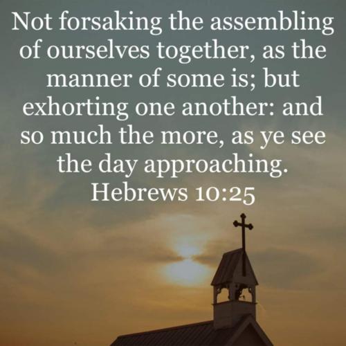 cc8eff59-757d-4bcd-99b6-4e9d980be4cd