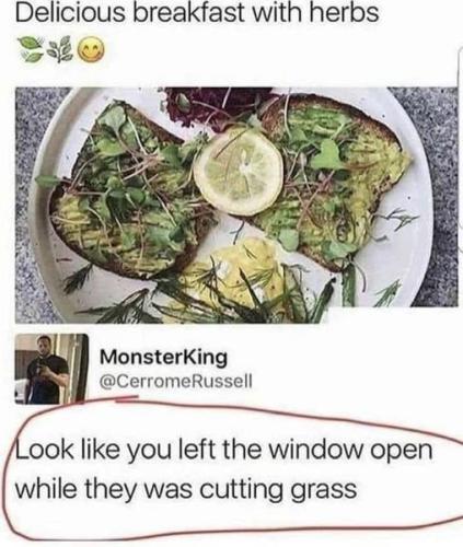 cuttimg the grass