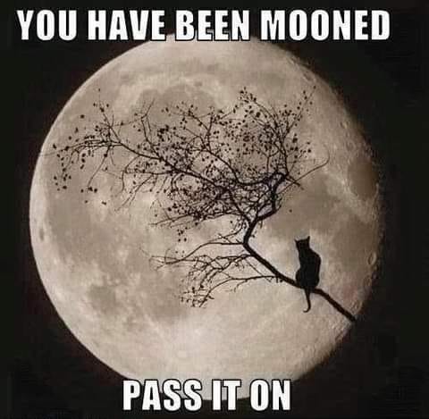 396723294_328421669833599_5963470863650104116_n