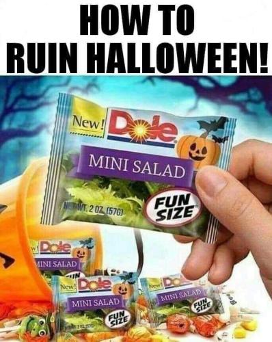 FB_IMG_1697304667464