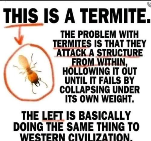 FB_IMG_1696718812917