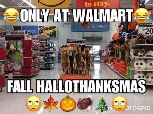 FB_IMG_1696992785000