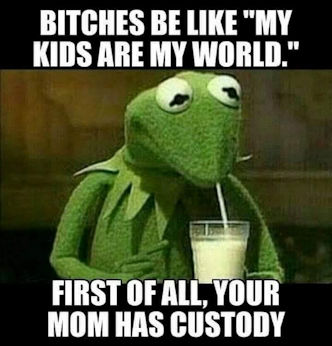 you mom has custody