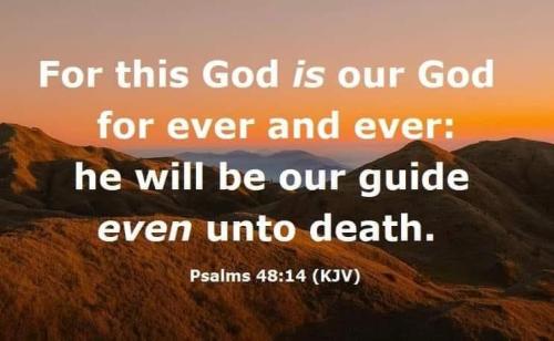 75744fac-c91a-4d11-a0c3-c656f161cff3