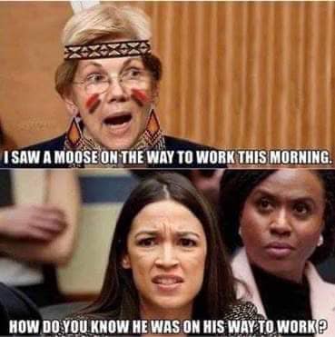 aoc moose f