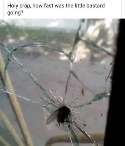 FB_IMG_1697561659113