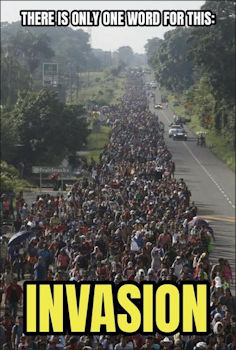 illegal immigration357