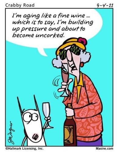 392935520_6632469553511582_4152282308295114122_n