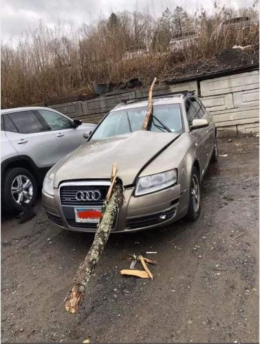 FB_IMG_1696536411850