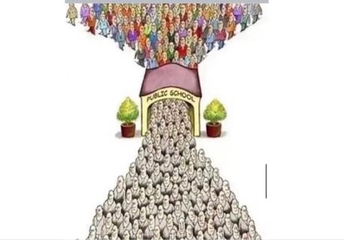 f881905d-ecfe-4977-b432-f85be65df6cc_710x496