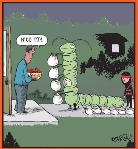 FB_IMG_1697665482713