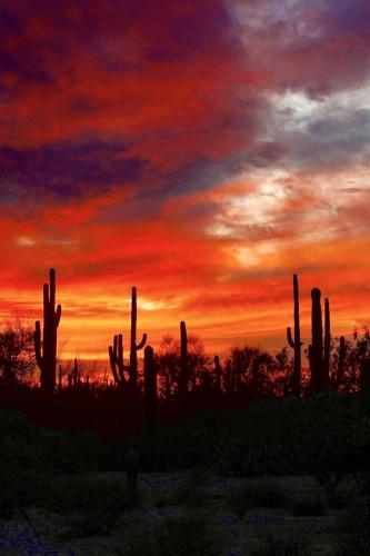 78A18D2F-199D-4448-A1D6-CF11A64D3856