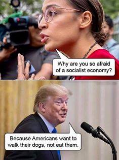 dog cat pets ocasio why afraid of socialist economy trump because americans want to walk dogs not eat pets