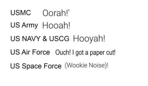 FB_IMG_1697128487986