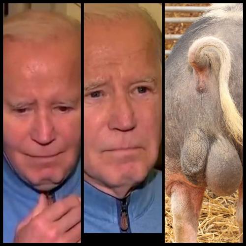 FB_IMG_1698264770720