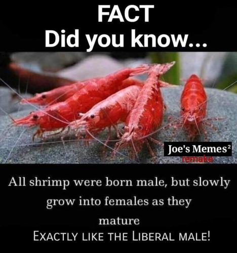 FB_IMG_1696801888538