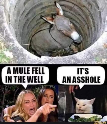 FB_IMG_1698263092484