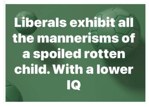 FB_IMG_1698157435251